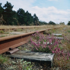 bild-29