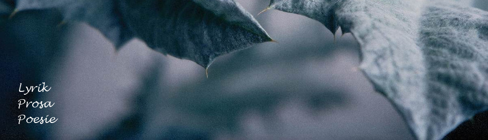 header_bildundtext4