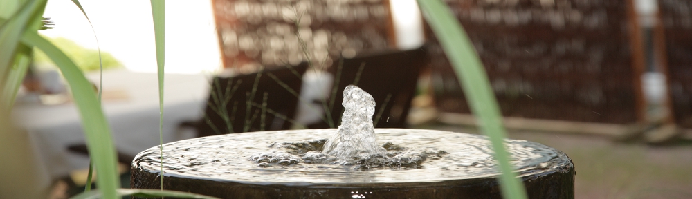 Headerbild