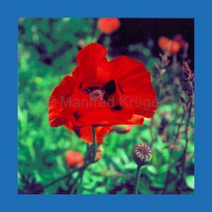 Karte-02