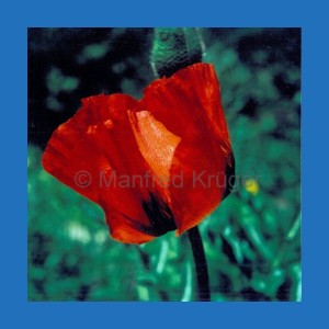 Karte-09