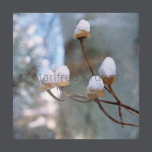 Karte-14