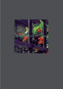 Karte-26