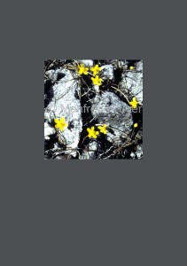 Karte-28